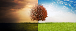 Accompagner le changement Accompagner le changement
